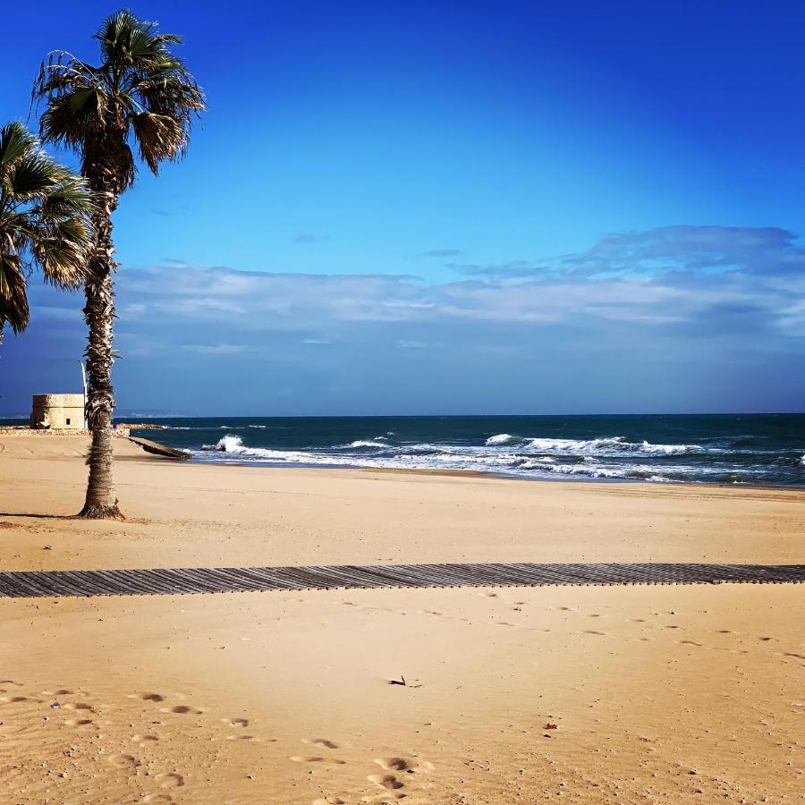 La Mata.Torrevieja.New Apartment 1M To The Beach) 라 마타 외부 사진